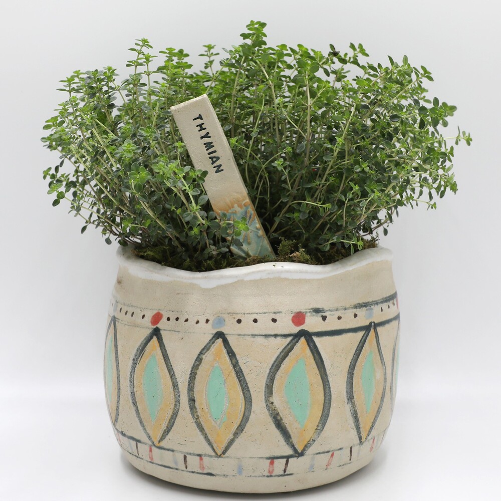 Kräuterbeschriftung Oregano