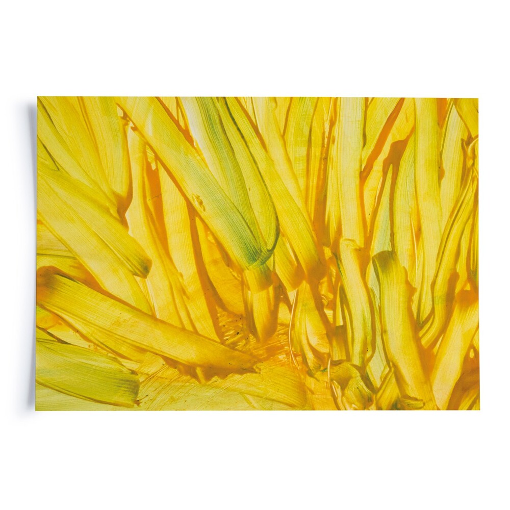 Vlora Veseli I Ohne Titel 8