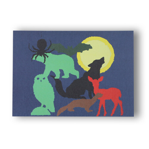 Joe Waser I Nachtaktive Tiere