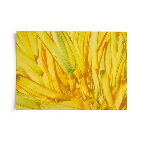 Vlora Veseli I Ohne Titel 8