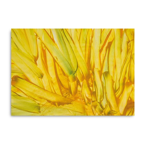 Ohne Titel 8 von Vlora Veseli